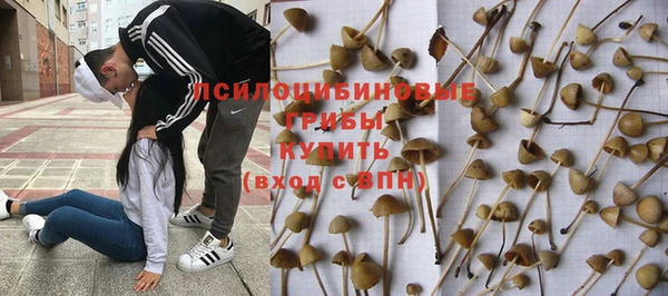 ГАЛЛЮЦИНОГЕННЫЕ ГРИБЫ Алзамай