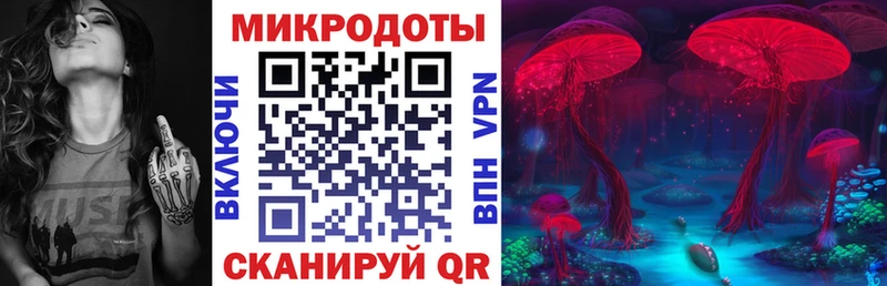 Псилоцибиновые грибы Psilocybine cubensis  наркошоп  Енисейск 